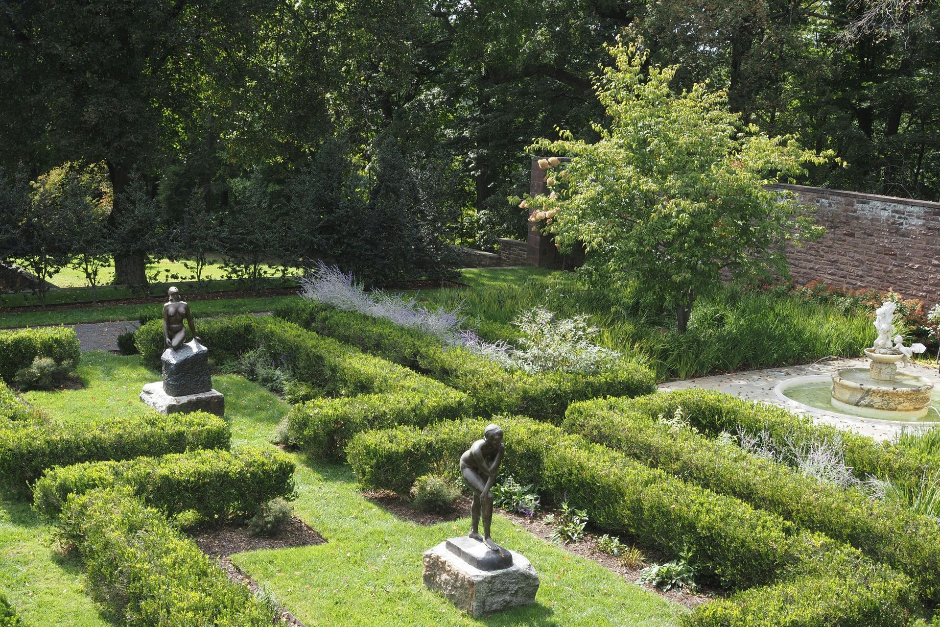Arborist uses a chainsaw to cut a tree trunk, woodchips flying.