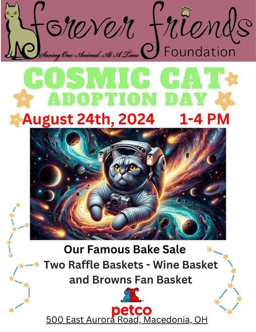 Cosmic Cat Adoption Day