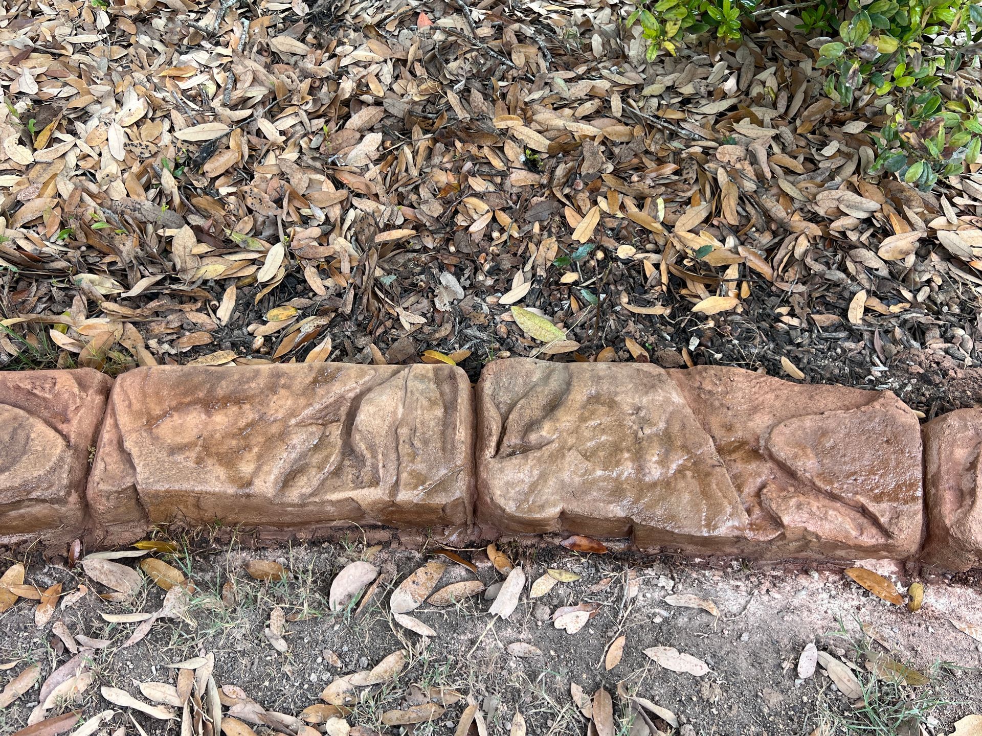A stone edging in a garden with leaves on the ground.