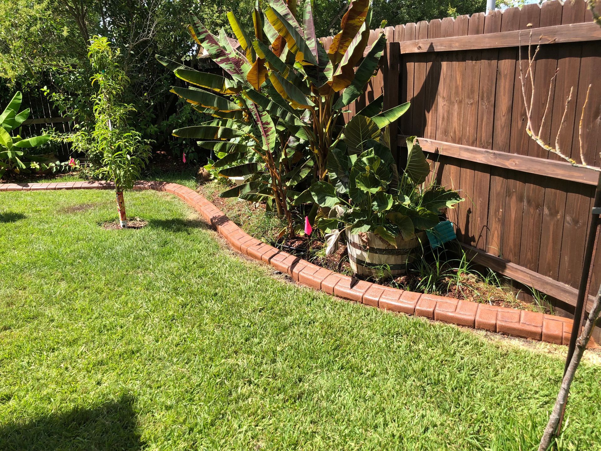 A wooden fence surrounds a lush green lawn in a backyard.