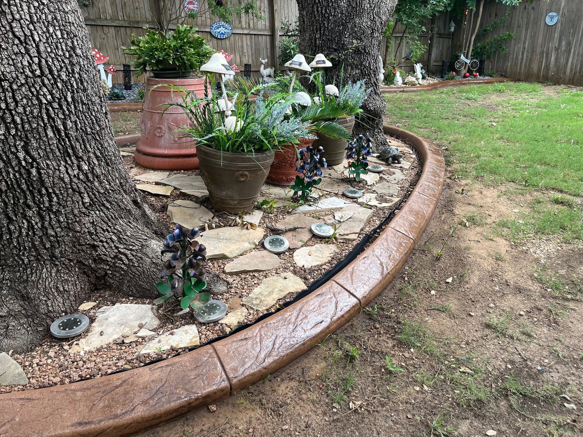 A concrete curb surrounds a tree in a garden.