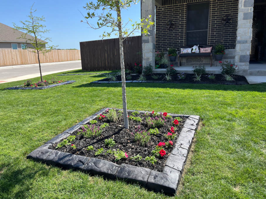 A tree in a square garden in front of a house.