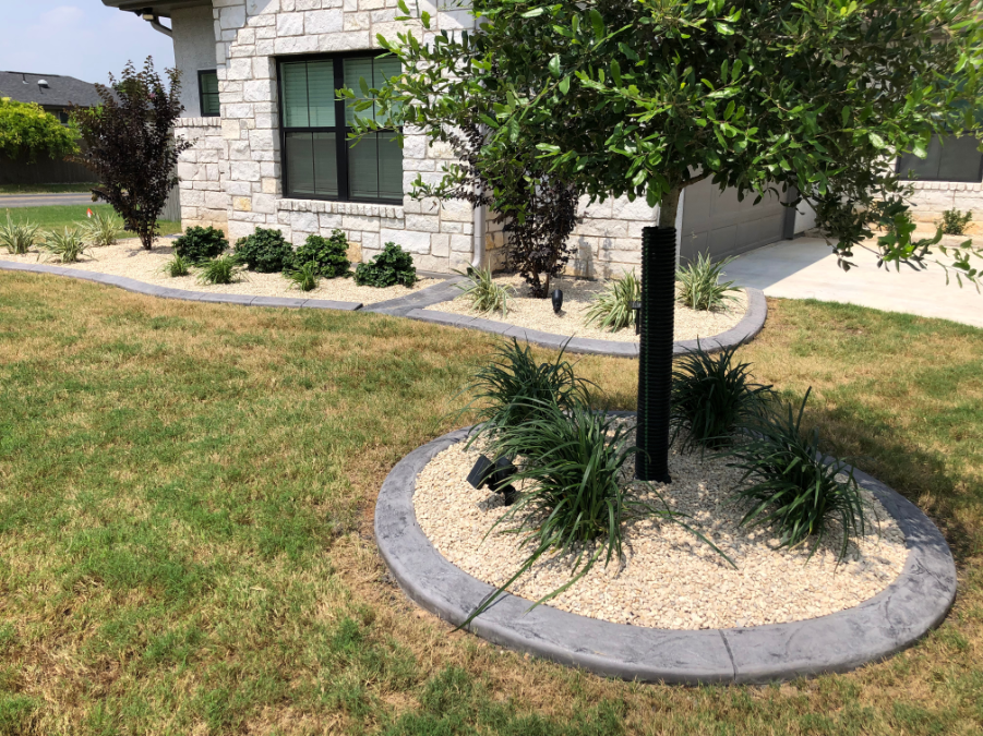 A tree in the middle of a lawn in front of a house.