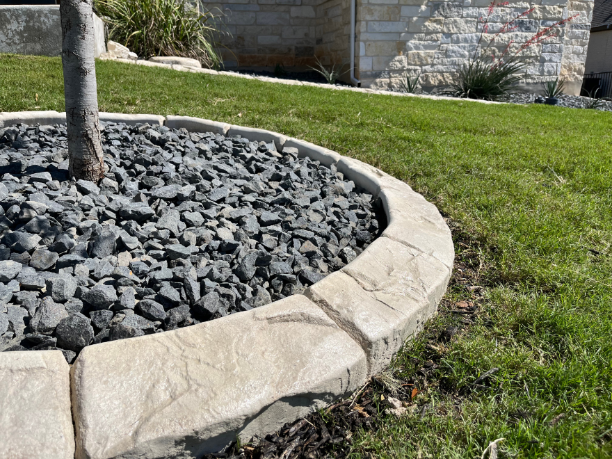 A tree is surrounded by gravel and a concrete curb.
