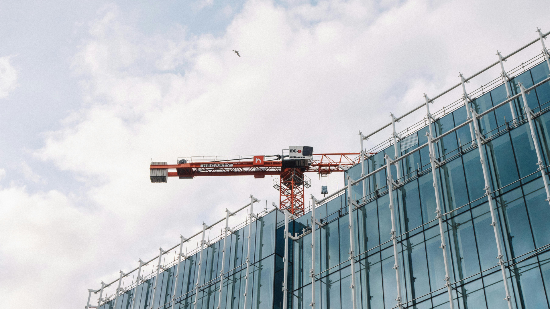 Crane