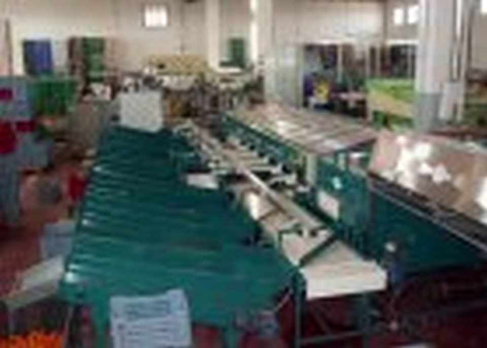 Macchinario per agrumi