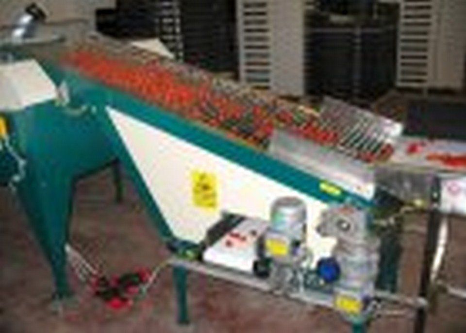 Impianto in acciaio inox