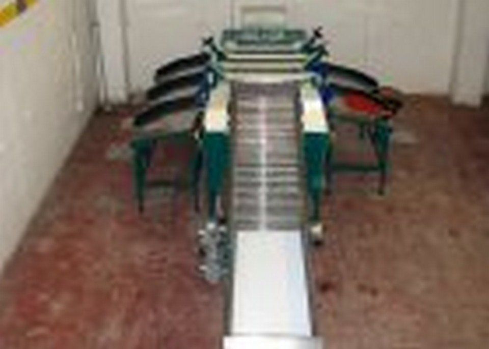 Linea di calibratura