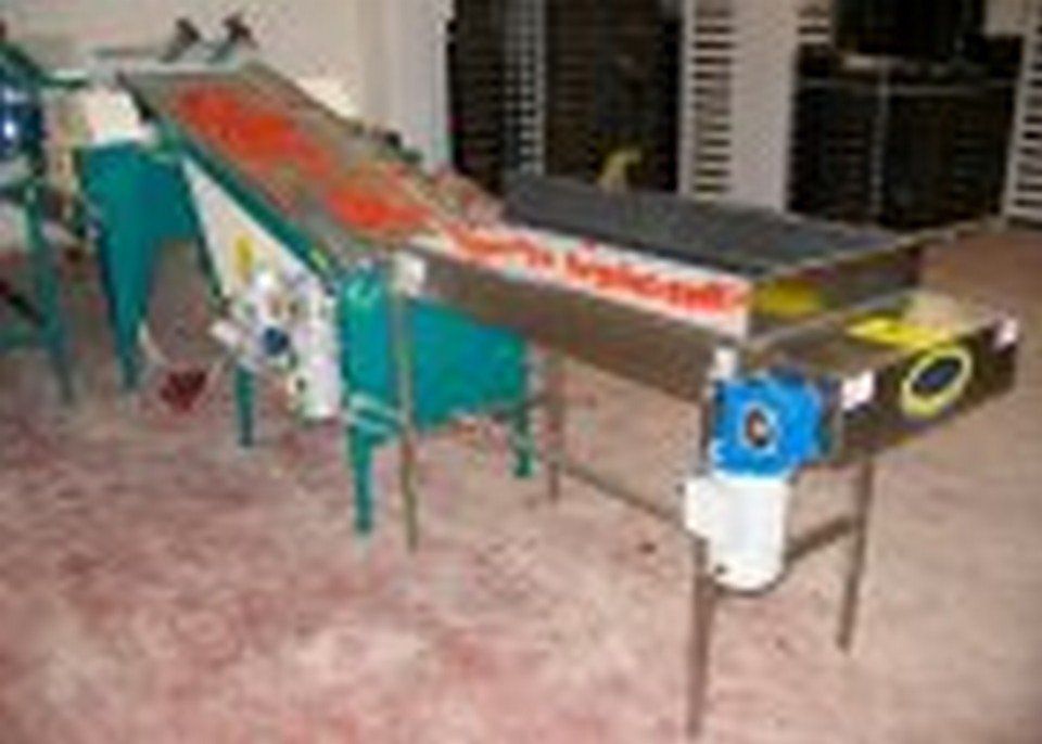 Macchina per pulitura ortaggi