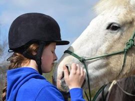 Riding lessons in Surrey