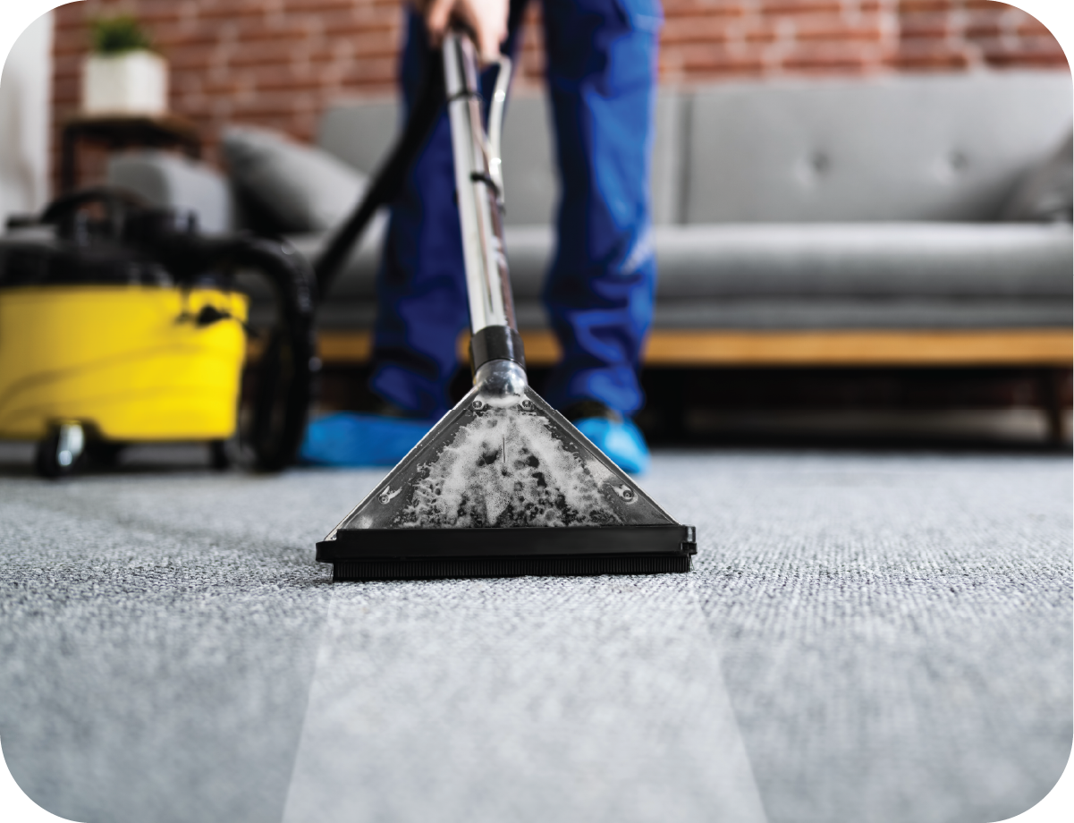 A person is cleaning a carpet with a vacuum cleaner.