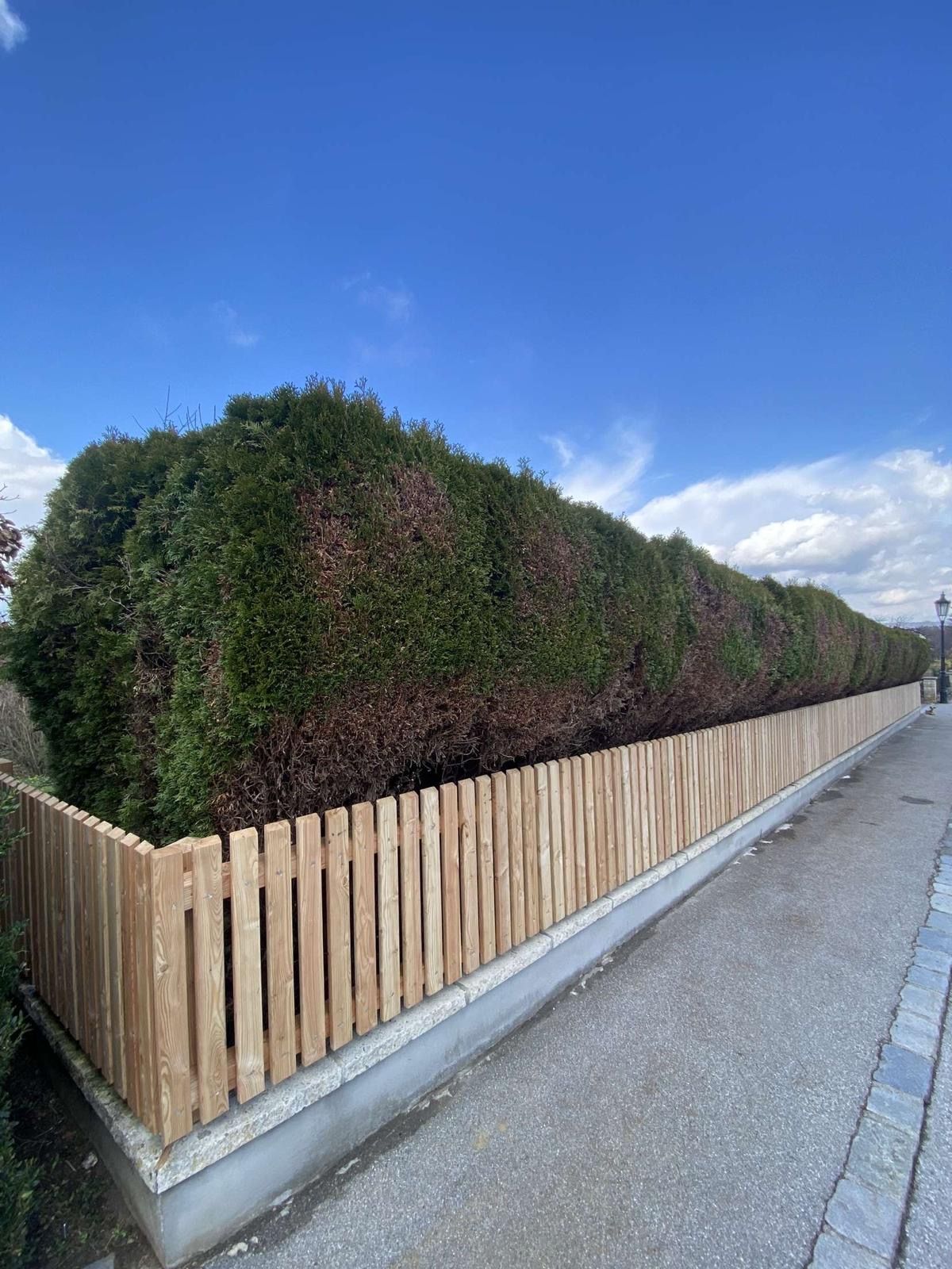 Ein Holzzaun umgibt eine Hecke am Straßenrand.