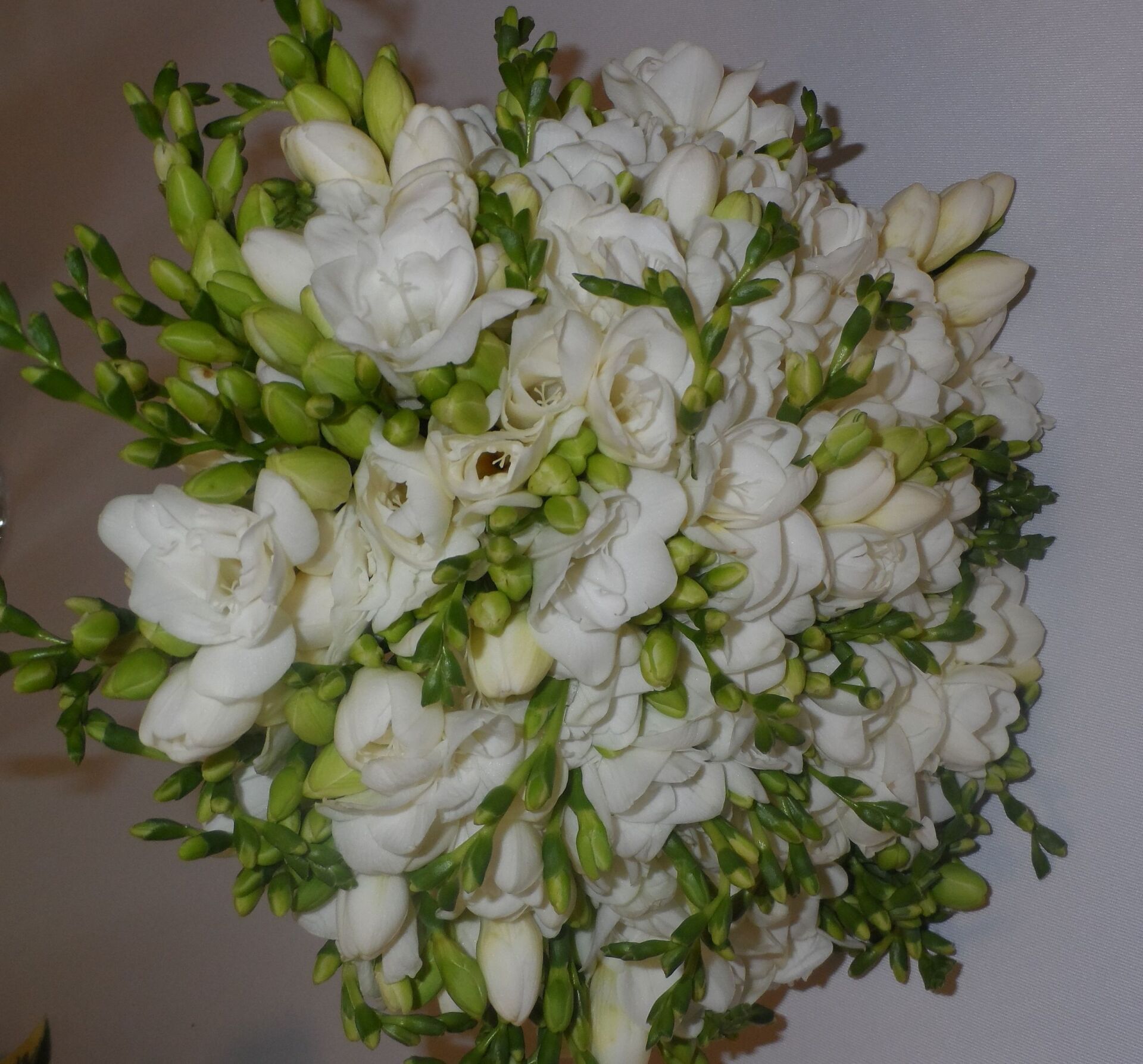 Līgavu pušķi Skrundā 18