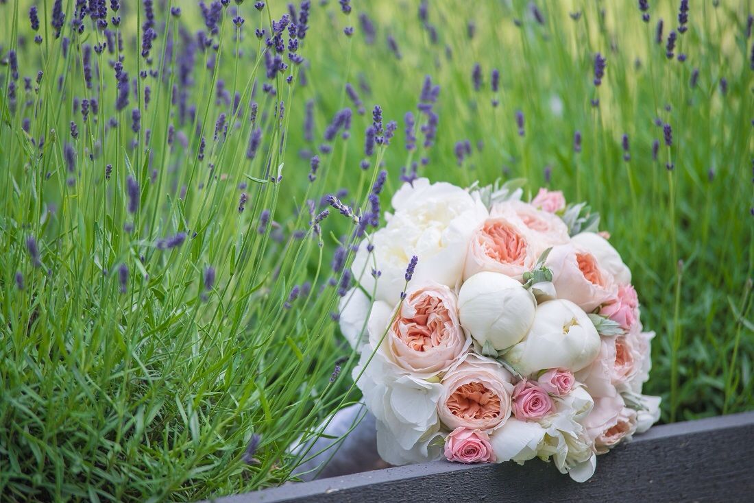 Līgavu pušķi Skrundā 25