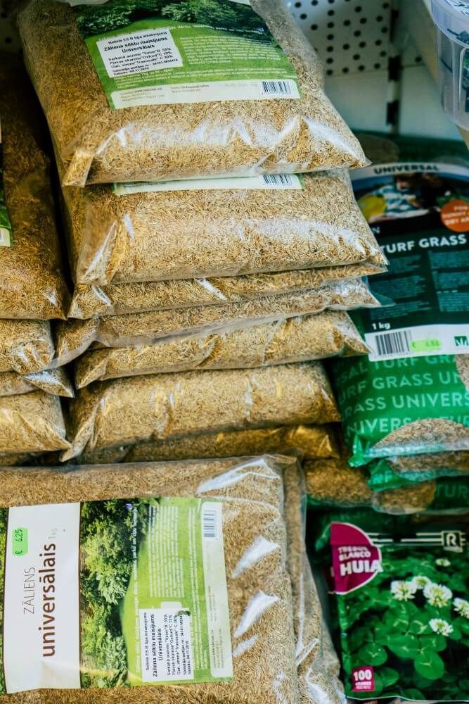 Ziedi un telpaugi Skrundā 5