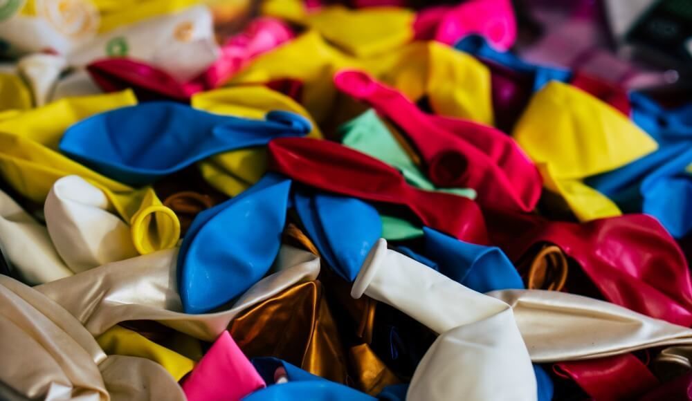 Ziedi un telpaugi Skrundā 26