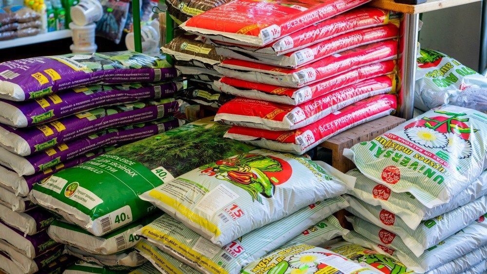 Ziedi un telpaugi Skrundā 14