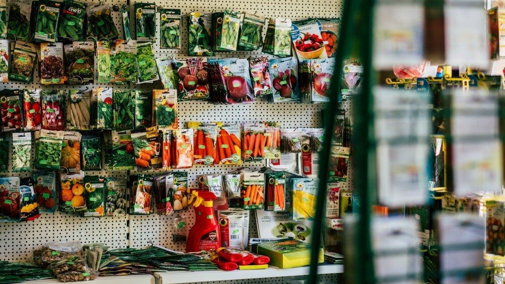 Ziedi un telpaugi Skrundā 21