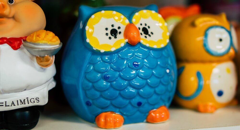 Ziedi un telpaugi Skrundā 20