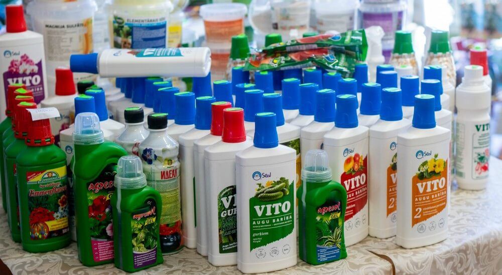 Ziedi un telpaugi Skrundā 16