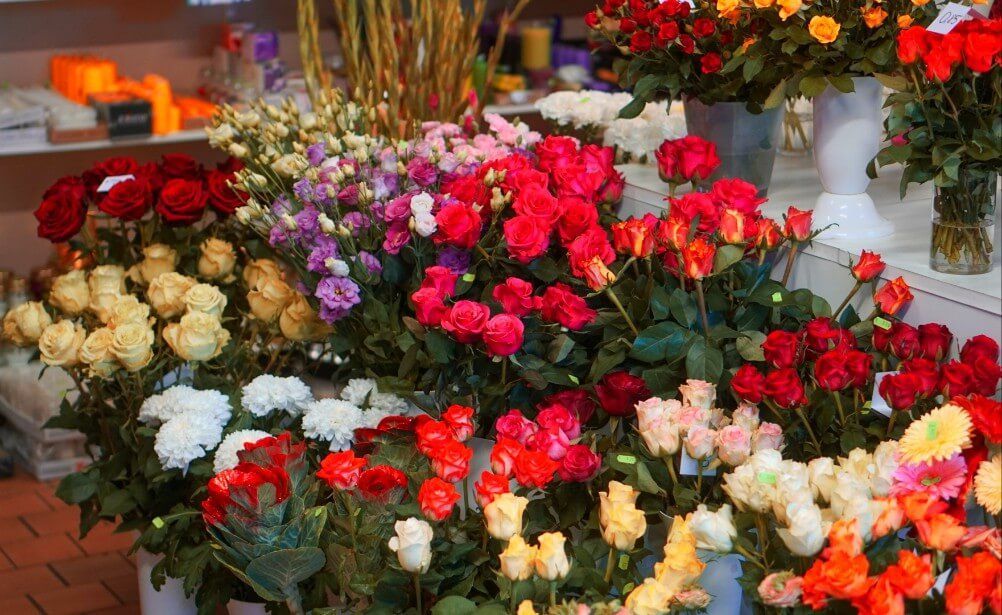 Ziedi un telpaugi Skrundā 13