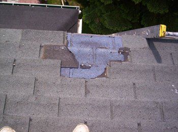 Une personne se tient debout au sommet d'un toit avec une échelle en arrière-plan.