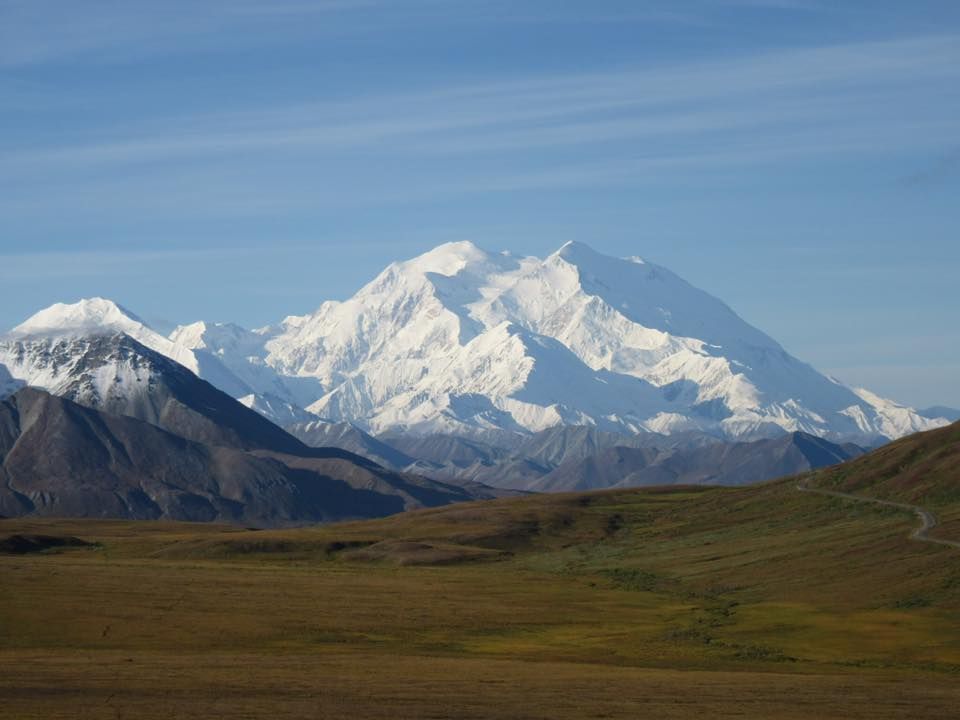 Snow-covered Denali mountain in Alaska against a clear blue sky, viewed from a grassy plain.