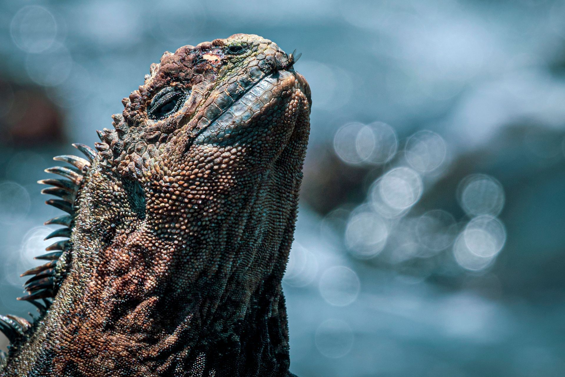 A thatched-roof structure on a floating dock, people dining and relaxing outdoors.