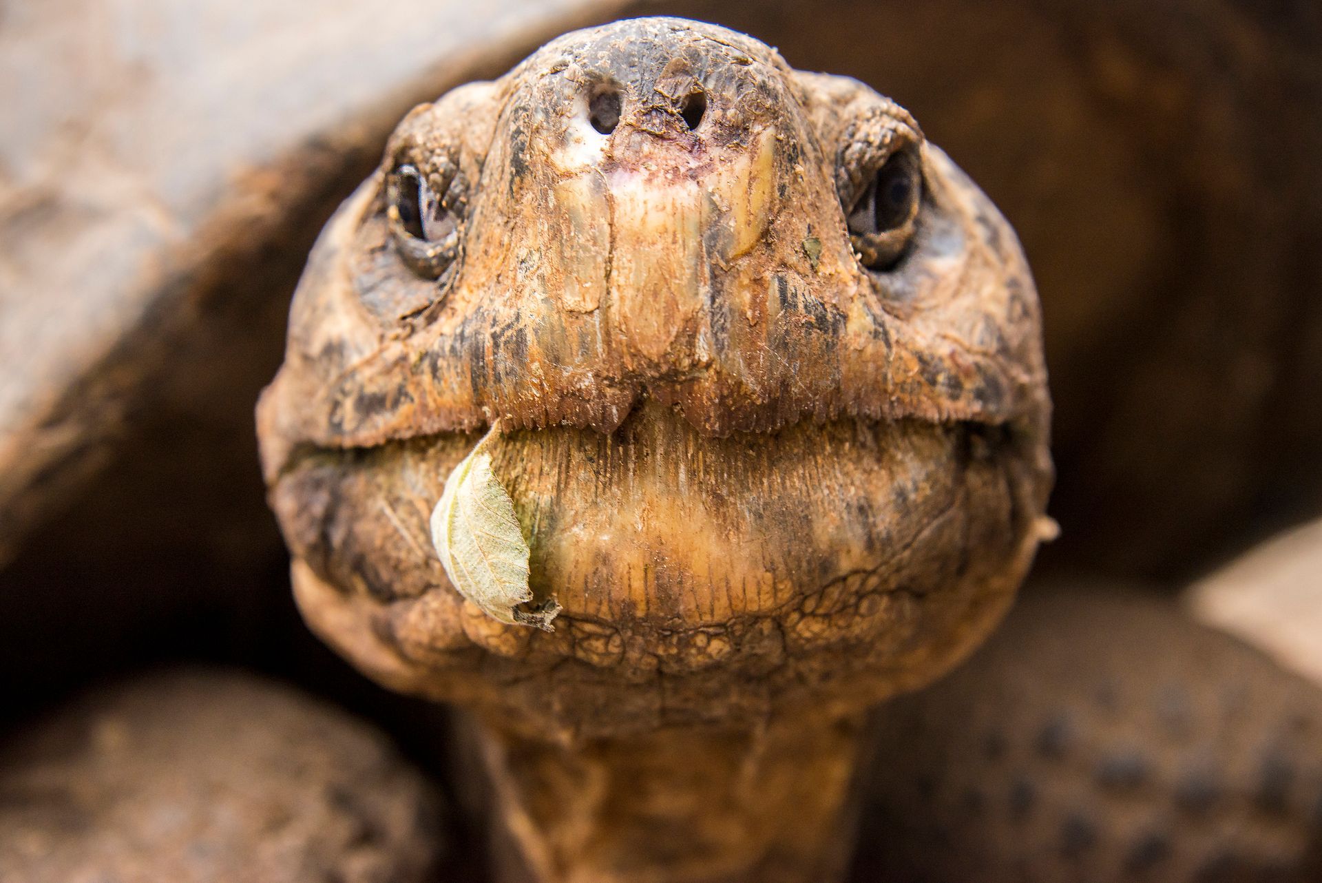 Ferryboat on blue ocean, islands in background, sunny day.