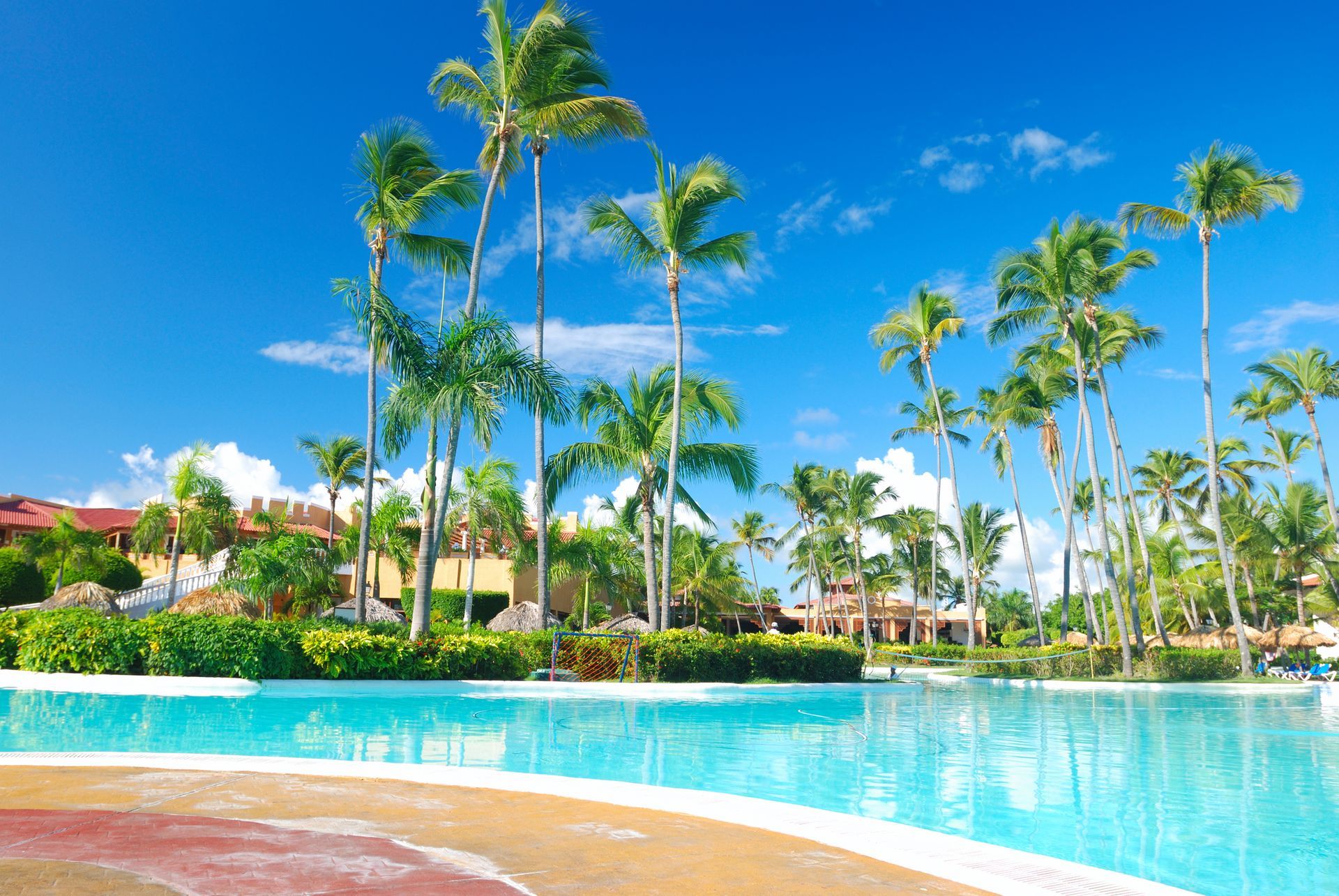 Swimming pool with palm trees under a bright blue sky, tropical resort.