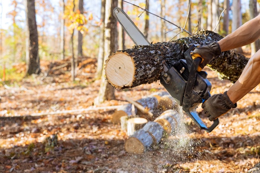 Person using a chainsaw to cut a log outdoors, with wood chips flying in a wooded area.