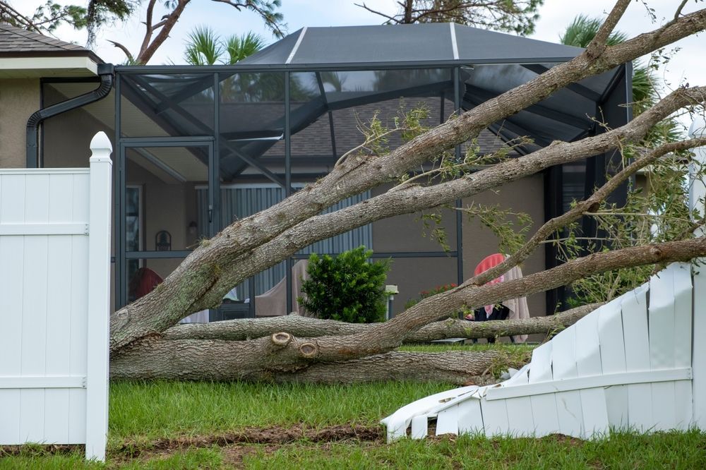 Fallen tree branches lie across a backyard fence and lawn after storm damage.