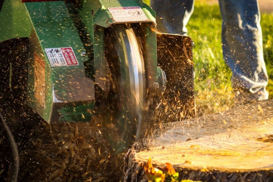 Wood chipper throwing wood chips as a worker stands nearby outdoors