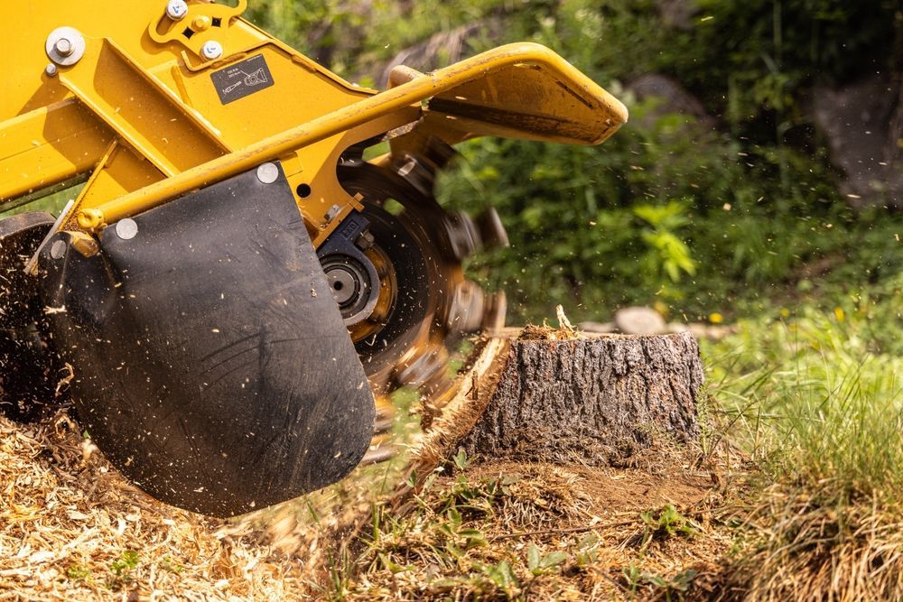 Yellow excavator bucket cutting a tree stump, with wood chips flying in a grassy wooded area