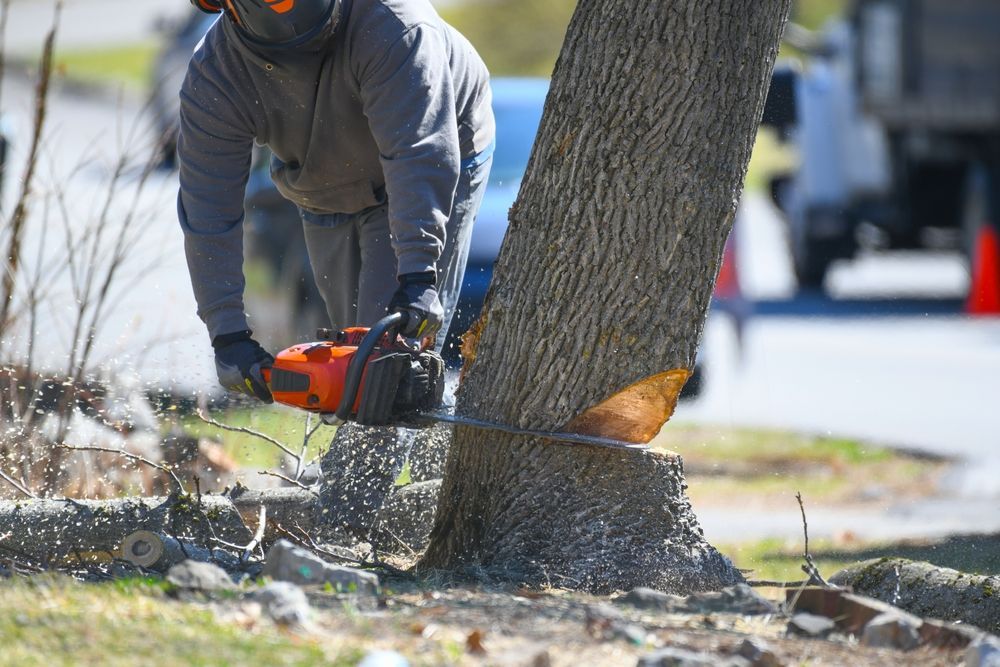 Worker cutting a tree trunk with a chainsaw, wood chips flying near a roadside