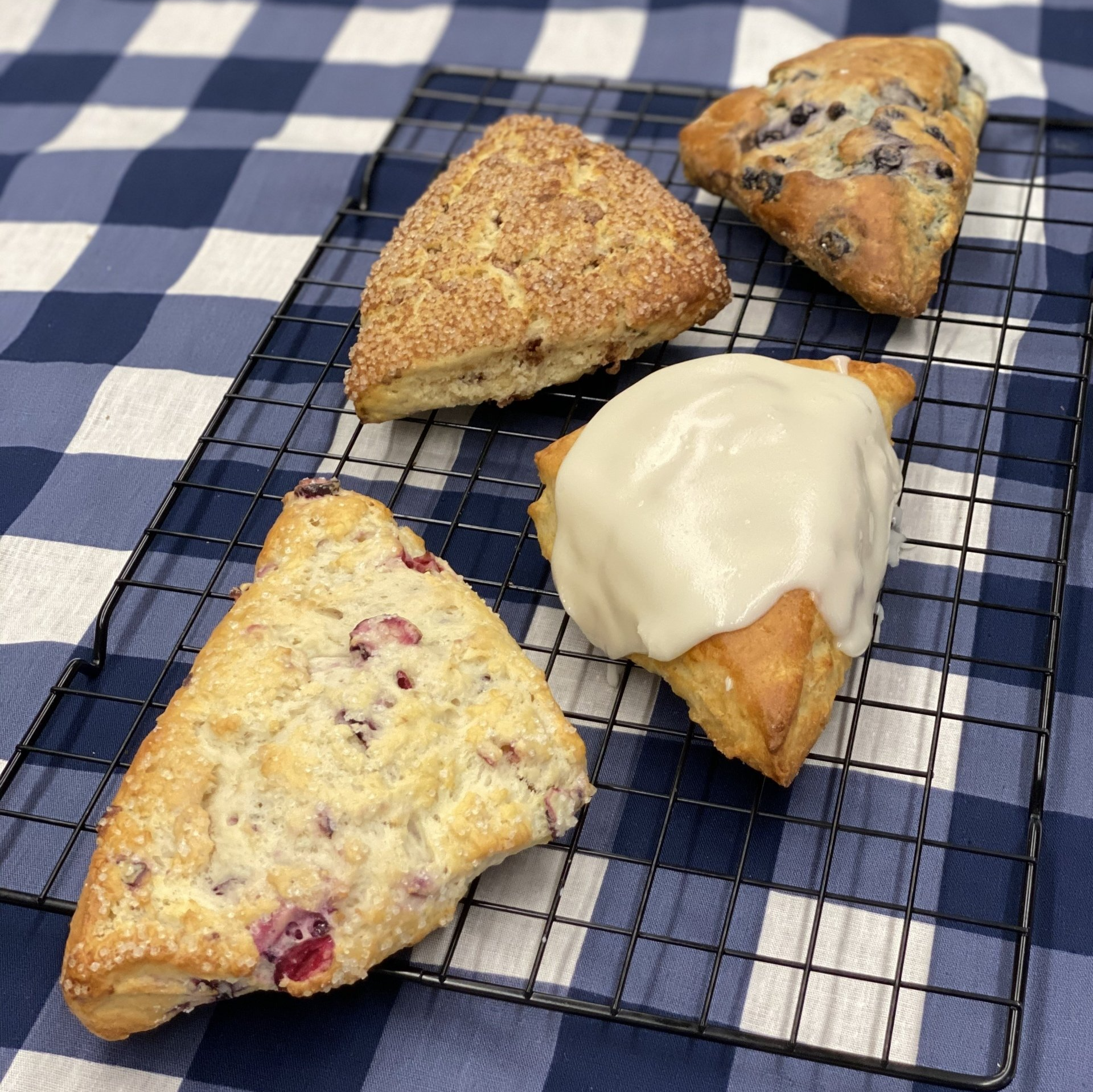 Biscotti — Denver, CO — Bluepoint Bakery