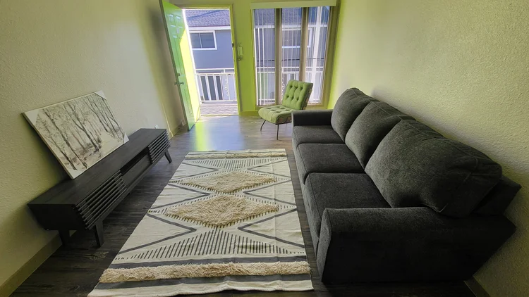 A living room with a grey sofa, black TV stand, patterned rug, and green door.