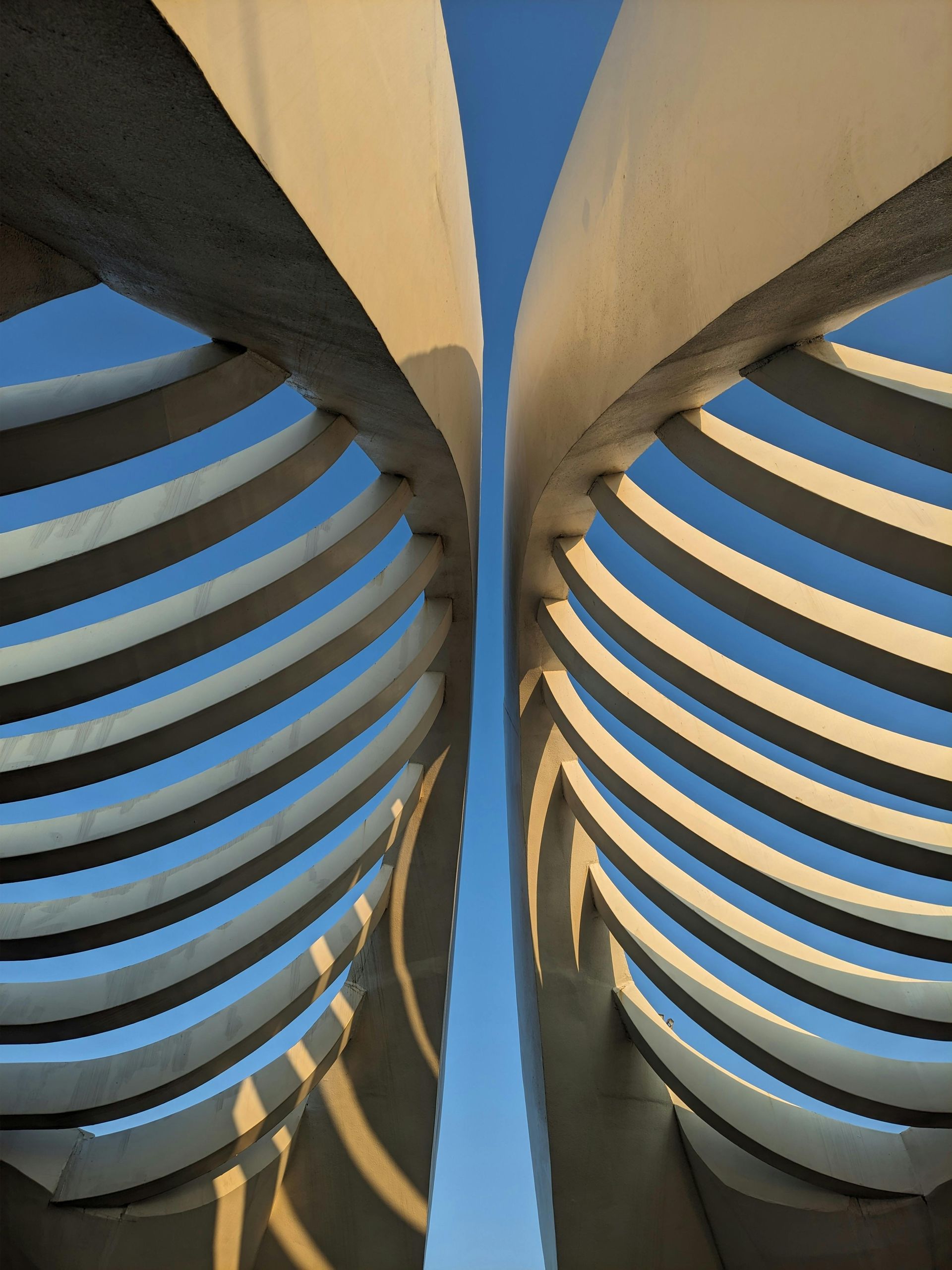 High-performance-website-development-backbone-Leo-Digital-Creative