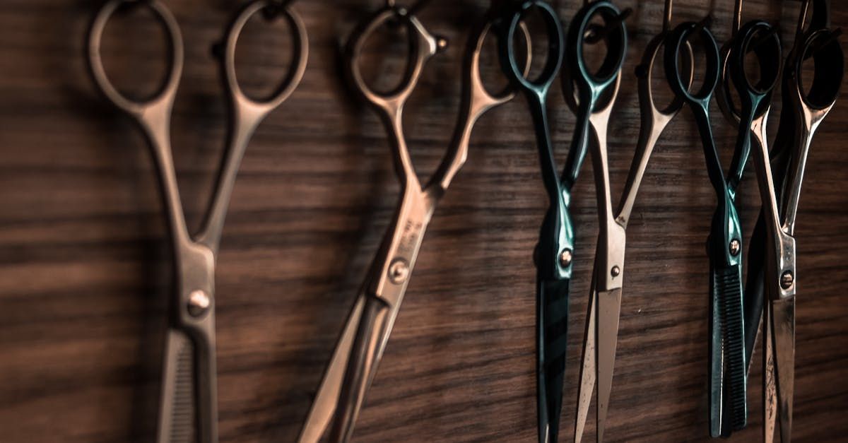 A row of scissors hanging on a wooden wall.