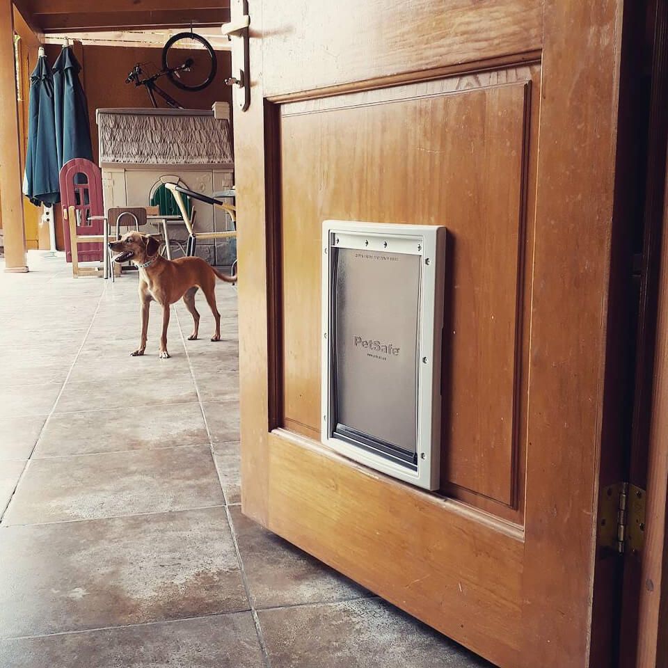Puerta Mascota Instalación de puertas para perros y gatos Santiago
