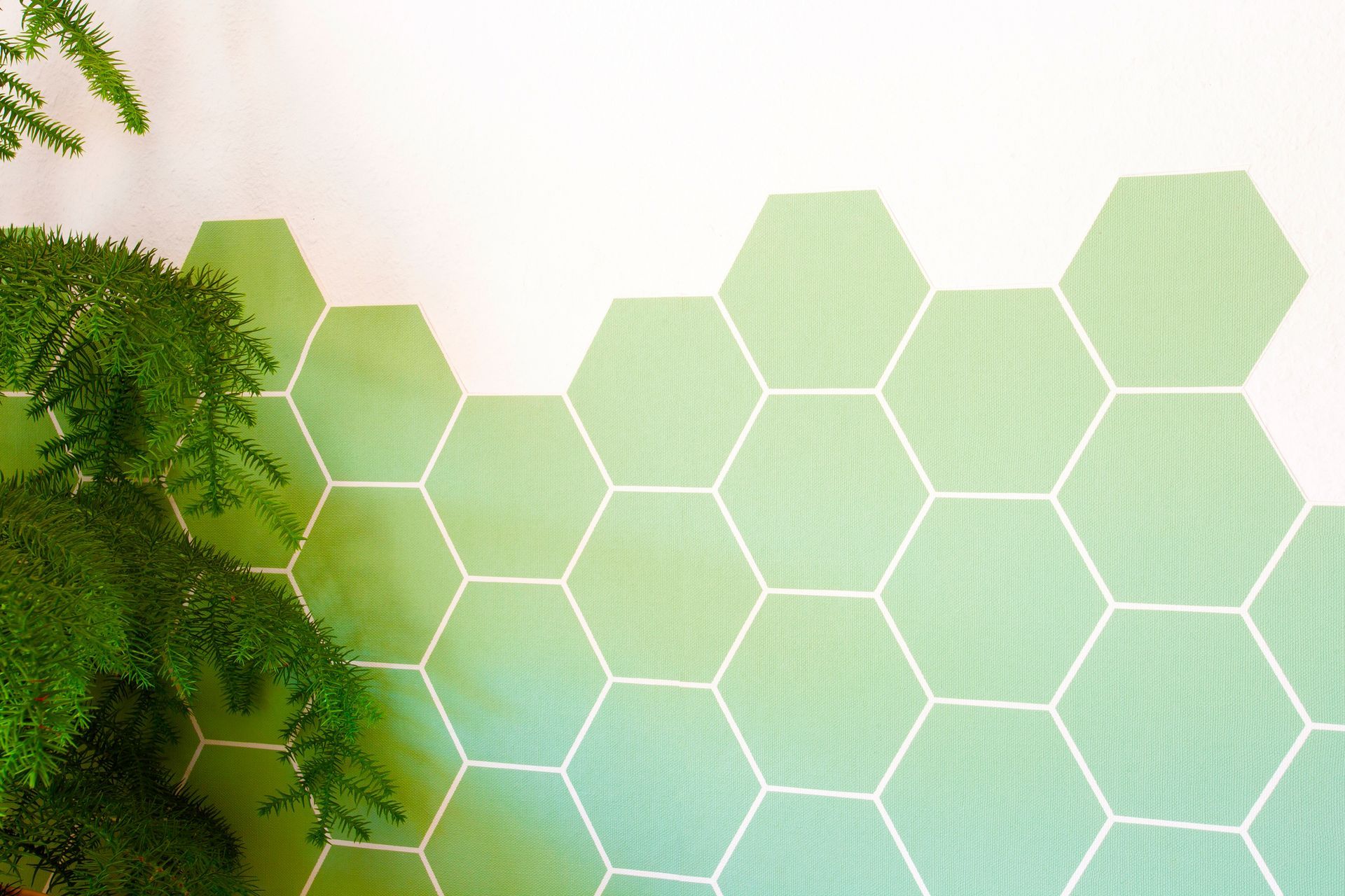 Piastrelle esagonali verdi su una parete con stucco bianco, una pianta verde nell'angolo.