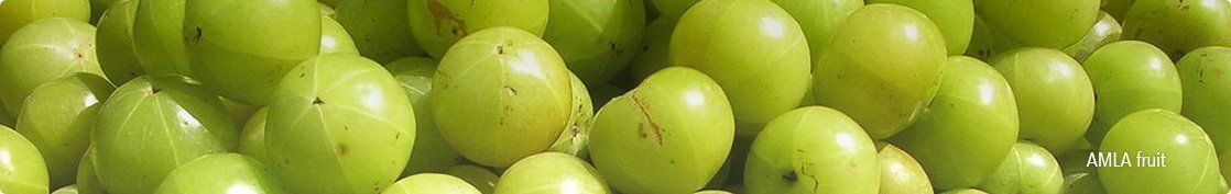 Enhance beauty with Amla fruit extract