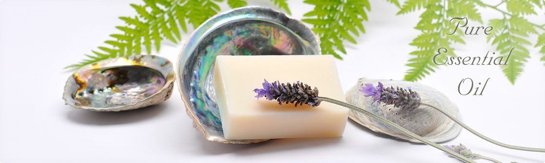 Soap of Lasonia with essential oil