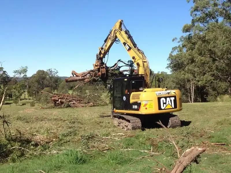 A Cat Excavator is Cutting Down Trees in a Field — S M & A J Gilbert Earthmoving in Mitchells Island, NSW