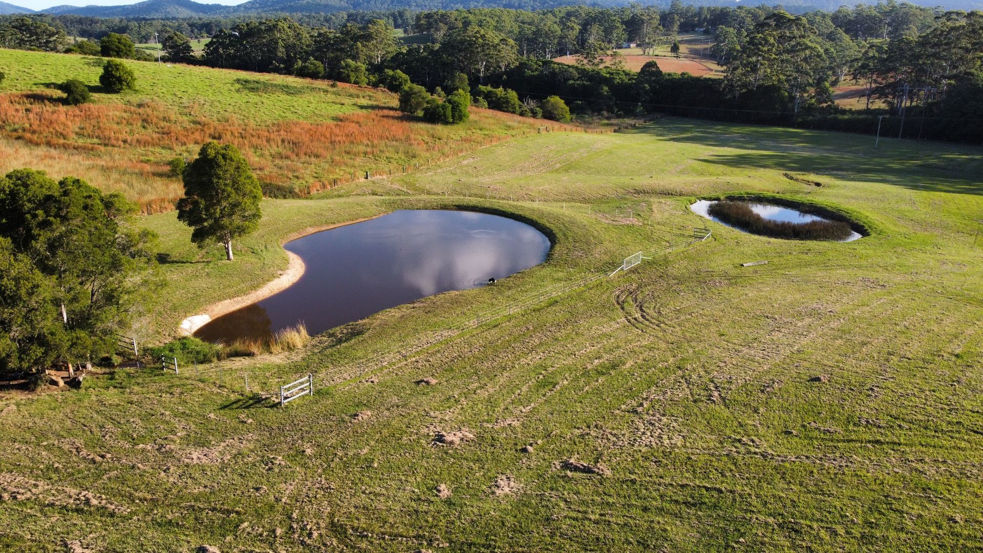 Two Ponds in a Grassy Field on a Sunny Day and Lush Green Hills and Trees — S M & A J Gilbert Earthmoving in Mitchells Island, NSW