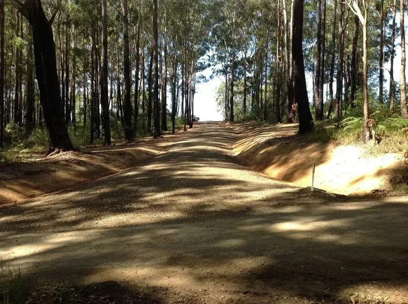 A Dirt Road in the Middle of a Forest With Trees and Shades — S M & A J Gilbert Earthmoving in Mitchells Island, NSW