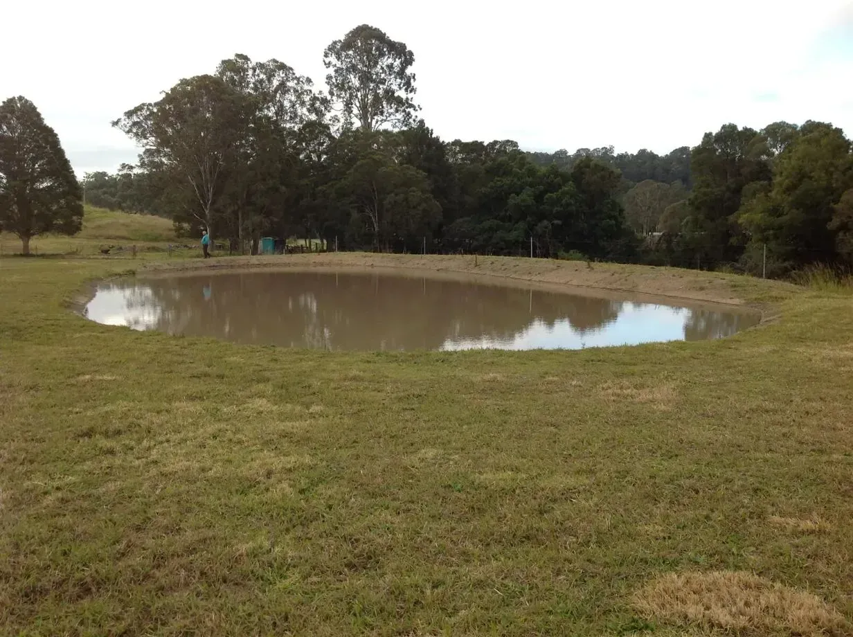 A Small Dirty Brown Pond in a Grassy Field With Trees in the Background — S M & A J Gilbert Earthmoving in Mitchells Island, NSW