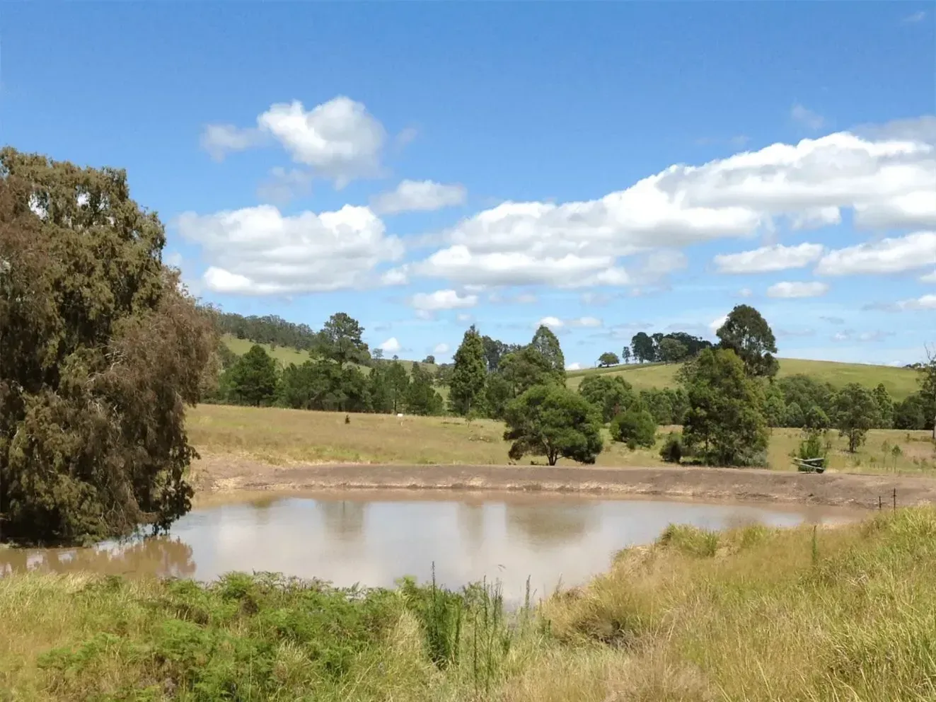 A Pleasant Morning With A Big Pond And Trees — S M & A J Gilbert Earthmoving in Mitchells Island, NSW