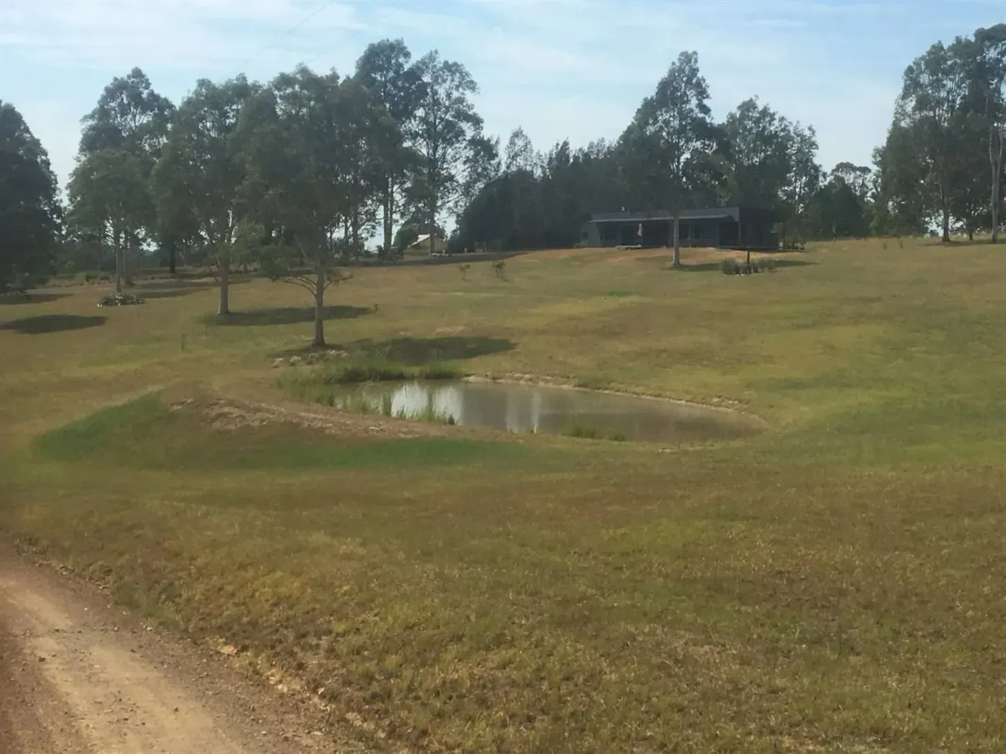A Dirt Road Going Through a Grassy Field With Trees in the Big Forest — S M & A J Gilbert Earthmoving in Mitchells Island, NSW