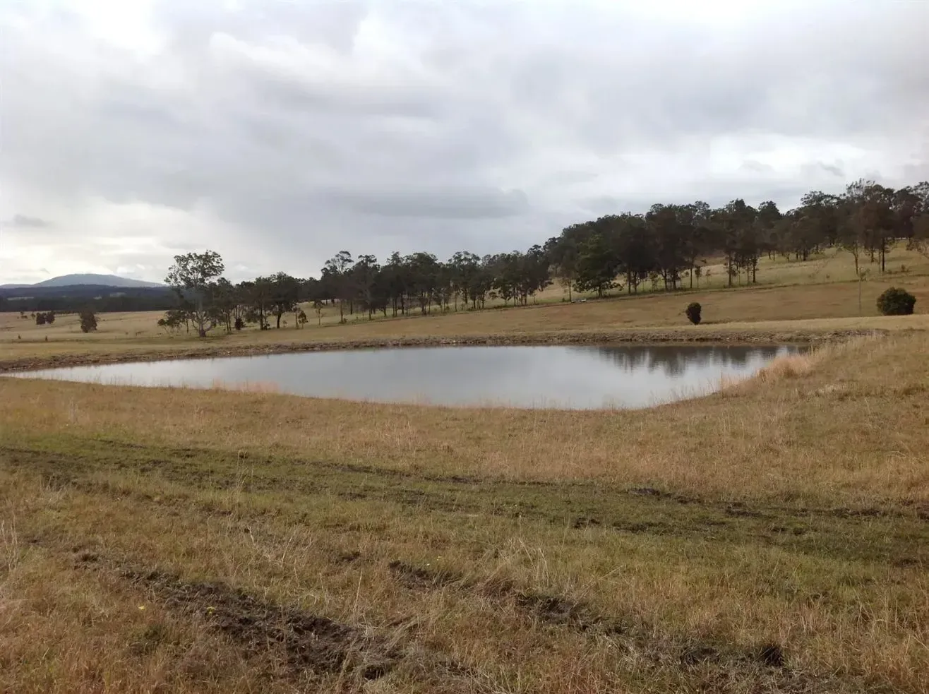 A Medium-sized Pond in the Middle of a Field With So Many Trees in the Background — S M & A J Gilbert Earthmoving in Mitchells Island, NSW